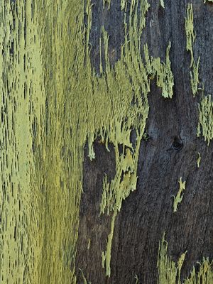 TEXTURA PORTA VERDE