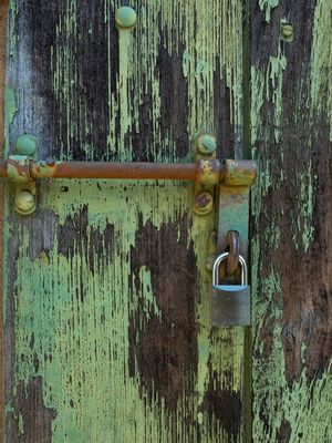 TEXTURA PORTA VERDE III