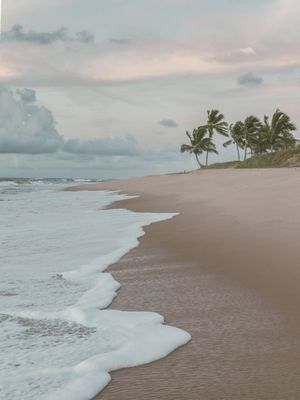 BEACH FOAM