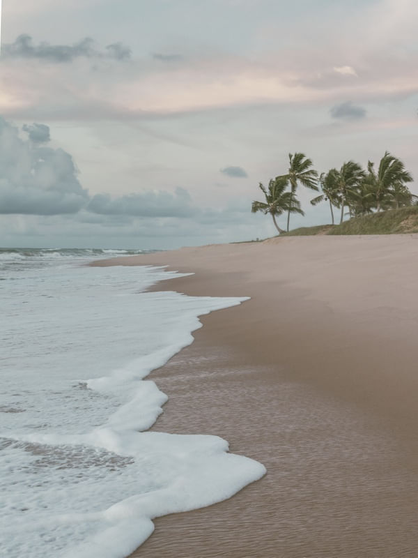 BEACH FOAM