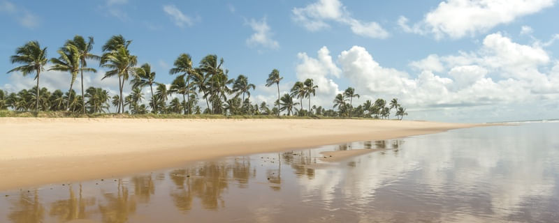 LONG BEACH II