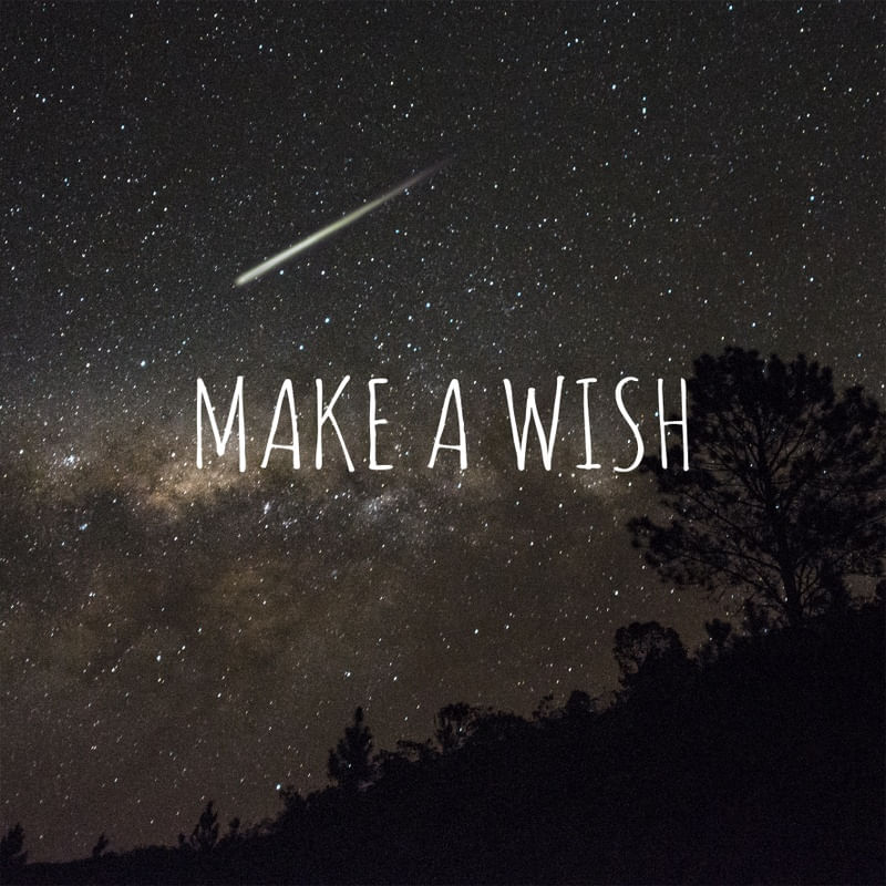 MAKE WISH