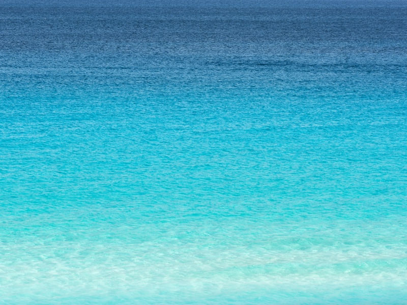 JUST BLUE VI