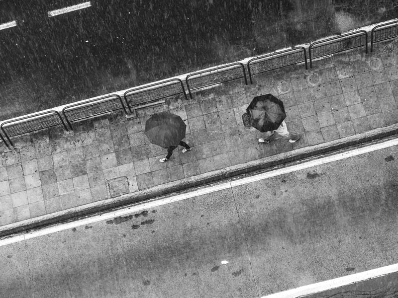 WALKING IN THE RAIN BW