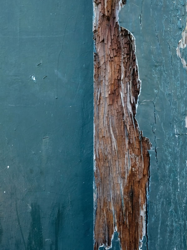 OLD WOOD TEXTURE