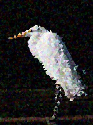 POLYGON HERON