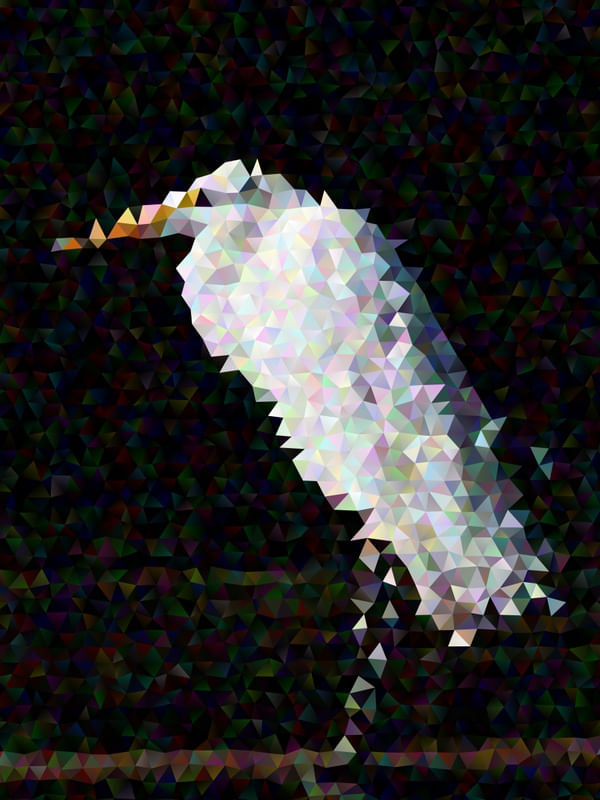 POLYGON HERON