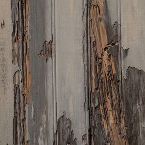 TEXTURA I