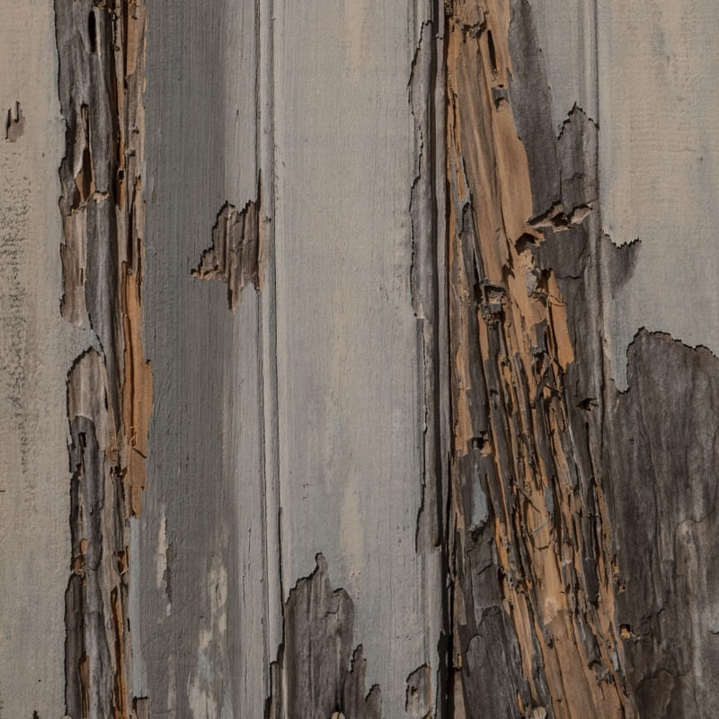 TEXTURA I