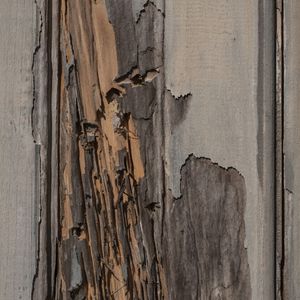TEXTURA II