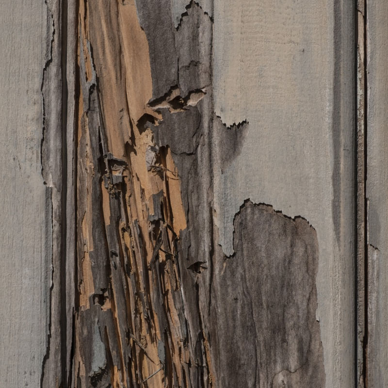 TEXTURA II