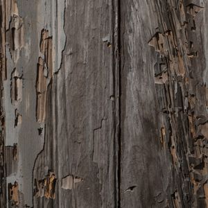 TEXTURA III