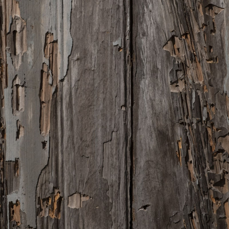 TEXTURA III