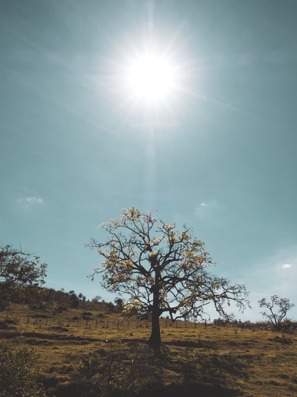DEBAIXO DE SOL