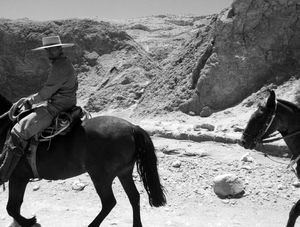 CAVALO NO DESERTO DO ATACAMA