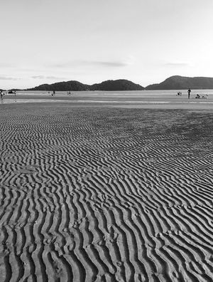 CHÃO DE VEIA
