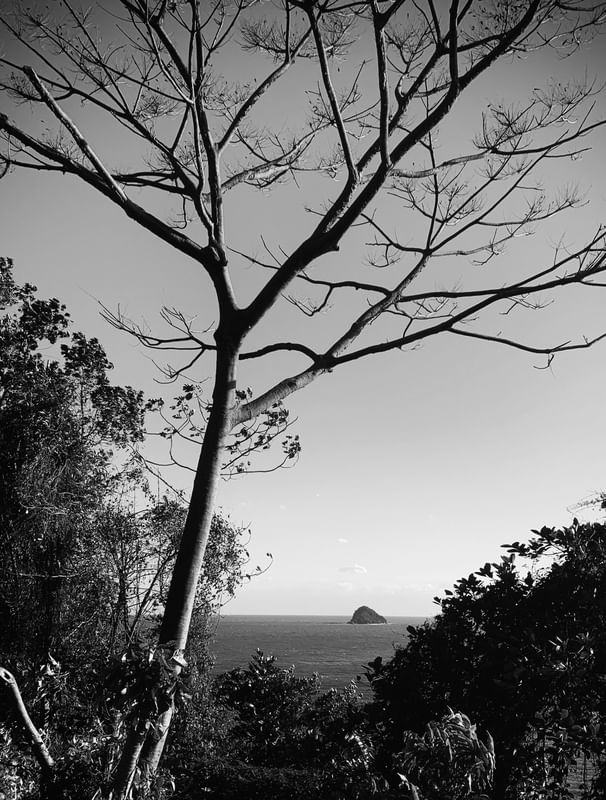 MAR DO HORIZONTE