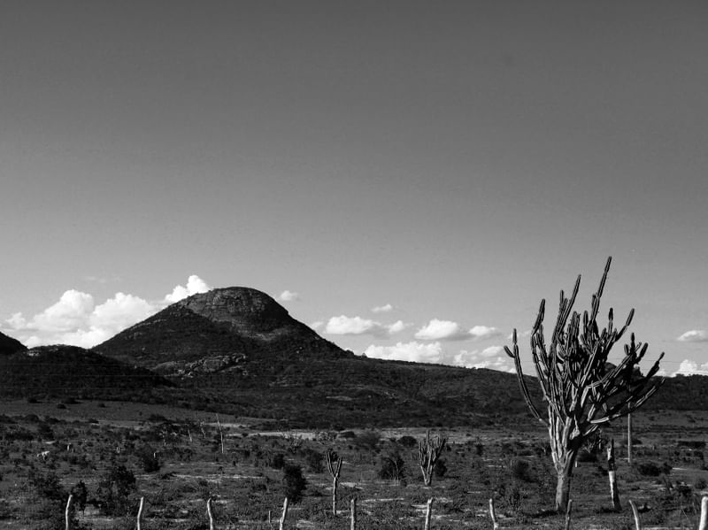 FAZENDA NA BAHIA