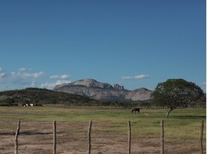 FAZENDA DIAMANTINA 5