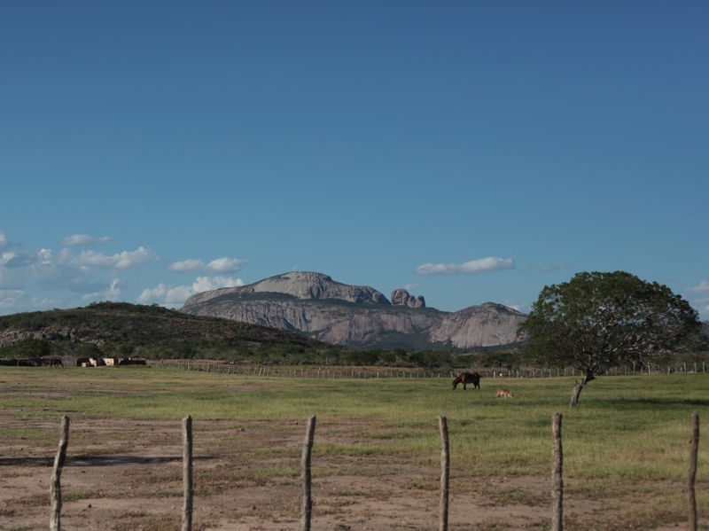 FAZENDA DIAMANTINA 5