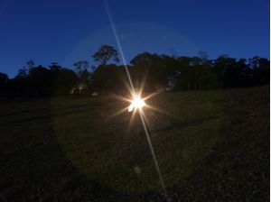 LUZ NO PASTO