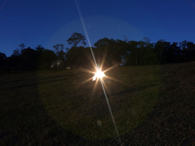 LUZ NO PASTO