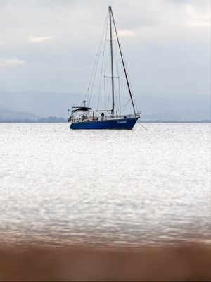 BARCO A VELA - RIBEIRÃO DA ILHA