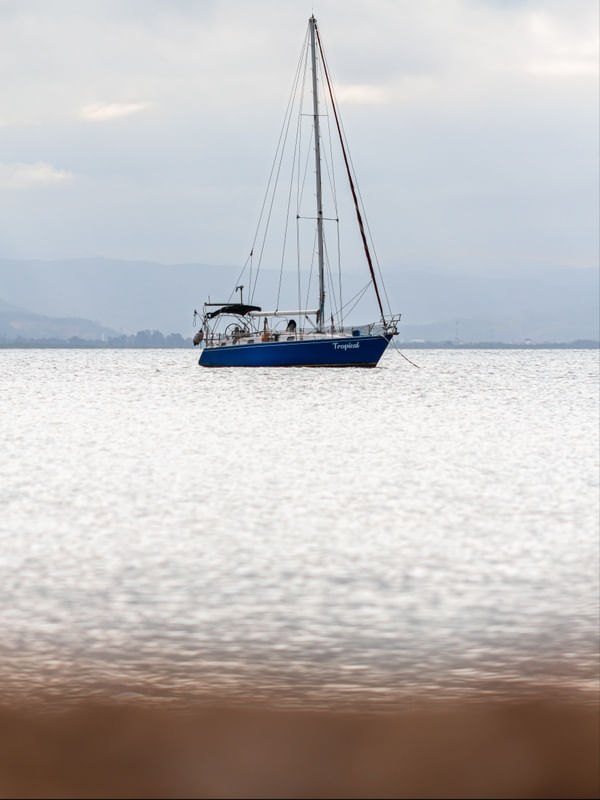 BARCO A VELA - RIBEIRÃO DA ILHA