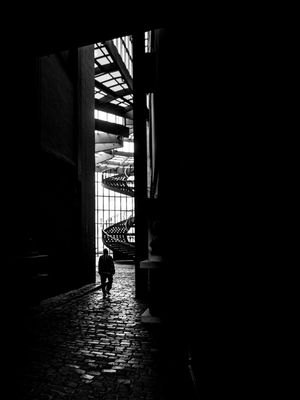 O CAMINHO DE LUZ