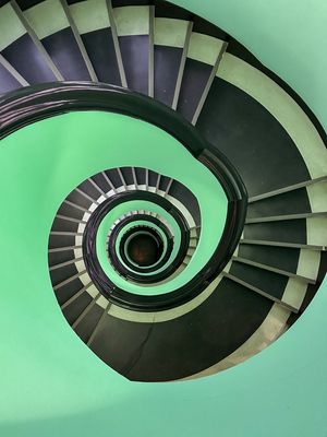 SNAIL LADDER