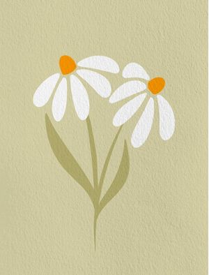 DAISIES FLOWERS - GREEN