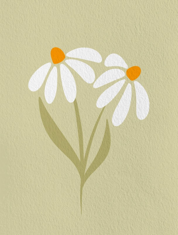 DAISIES FLOWERS - GREEN
