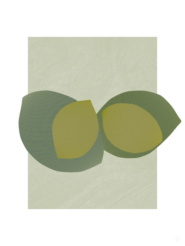 CUT-OUTS-5