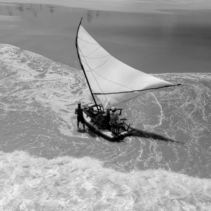 REGATA DE JANGADA