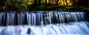 RIACHO E FLORESTA - PANORÂMICO