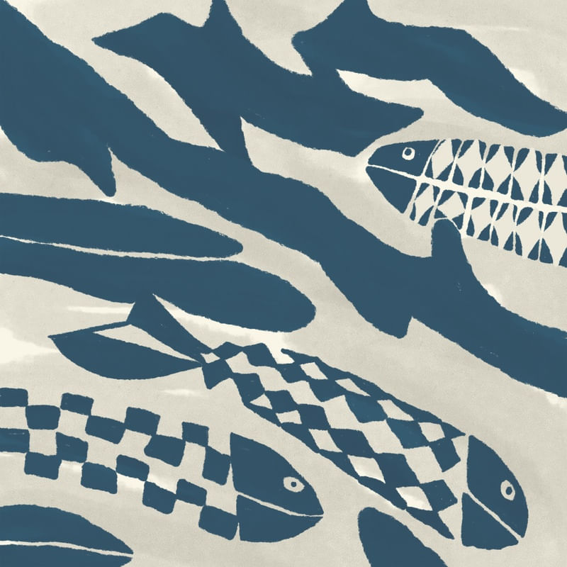 PESCA DE PEIXES