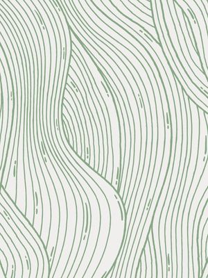 LINHAS VERDES NATURAIS