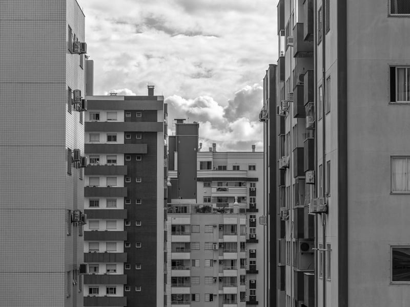 DA JANELA EU VEJO A RUA