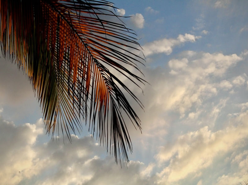 PÔR DO SOL EM ILHA-BELLA