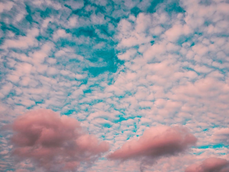 ROSA CLOUDS