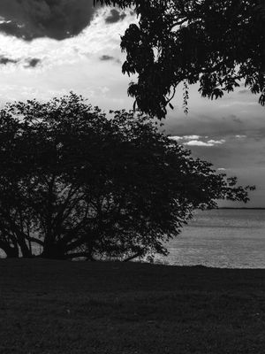 _ SILHOUETTE 02