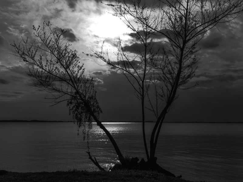 _QUIET