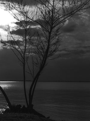 _CALM PORTRAIT 02