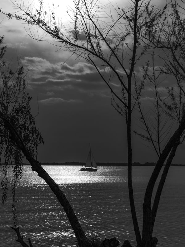 _VOIDBOAT