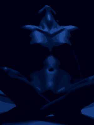 NU 02