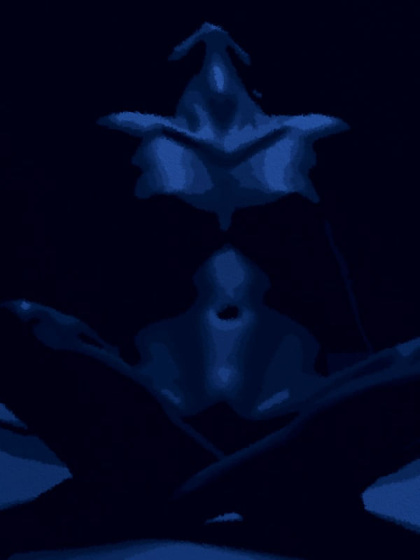 NU 02