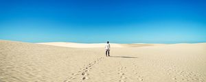 LONE WALKER