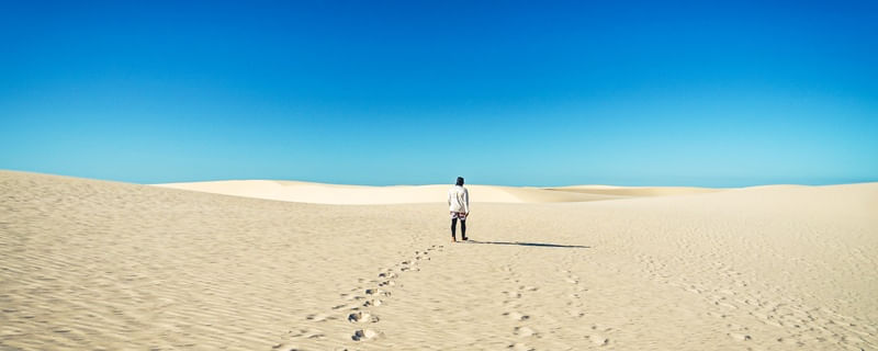 LONE WALKER