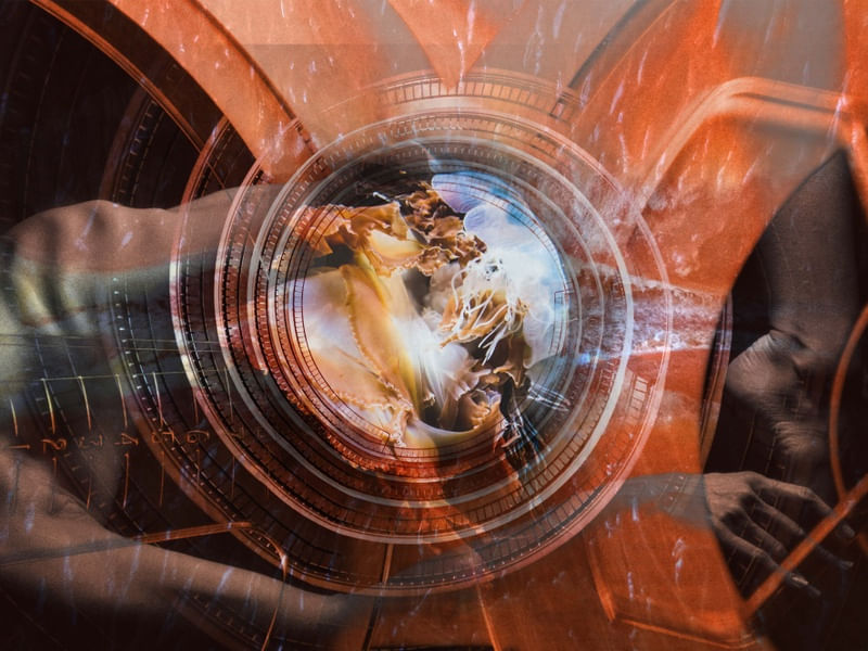 CELESTIAL BODY - 2020