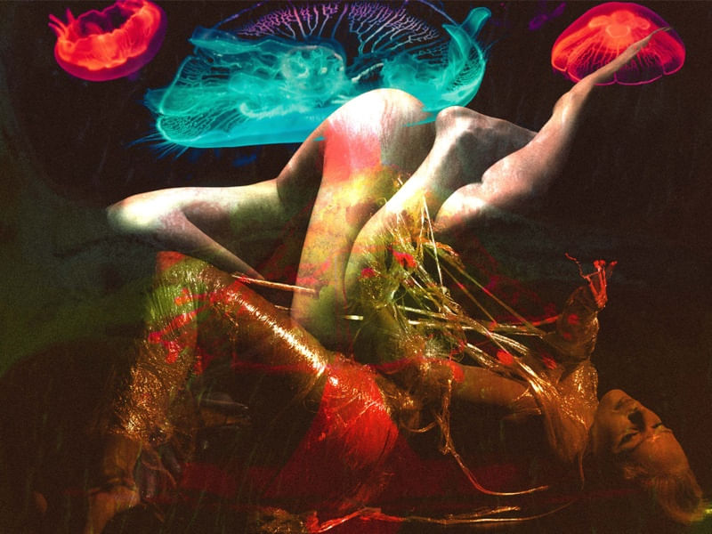 PLASTIC BODY - 2020
